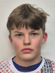 Andrei Vlasov-Mrduljaš